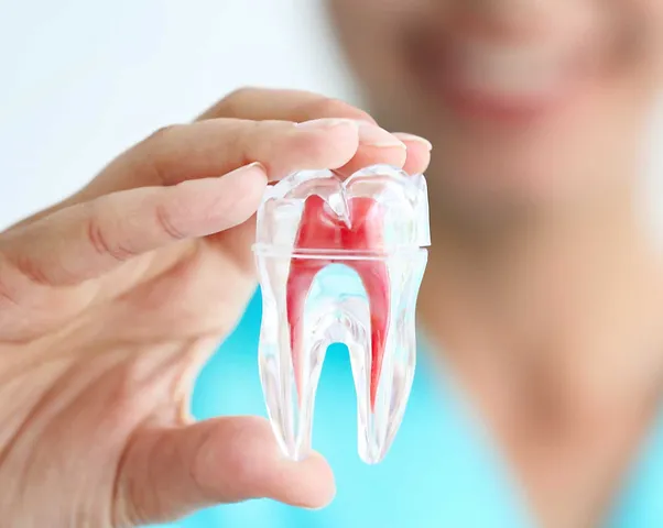 Implanty Wrocław - profesjonalne implanty zębowe